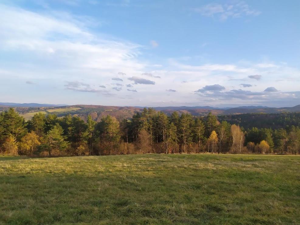 Domek Kozacki Лукове Экстерьер фото
